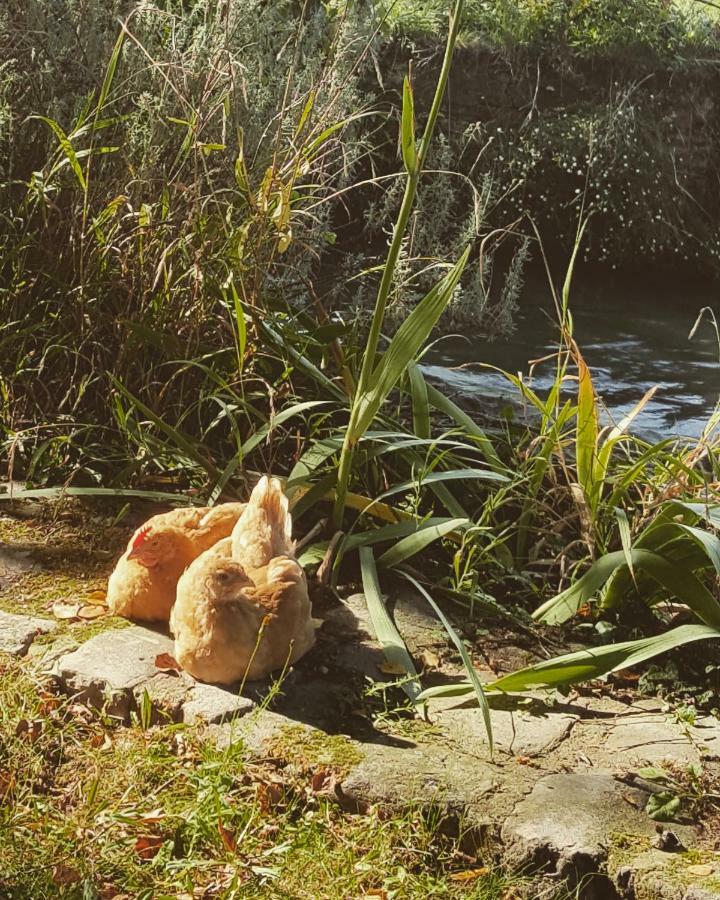 Le Moulin De Longueil Villa Dış mekan fotoğraf